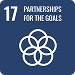 SDG 17